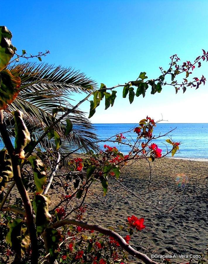 La Palmera. El Amanecer En El Parque Natural Agua Amarga  Exteriör bild